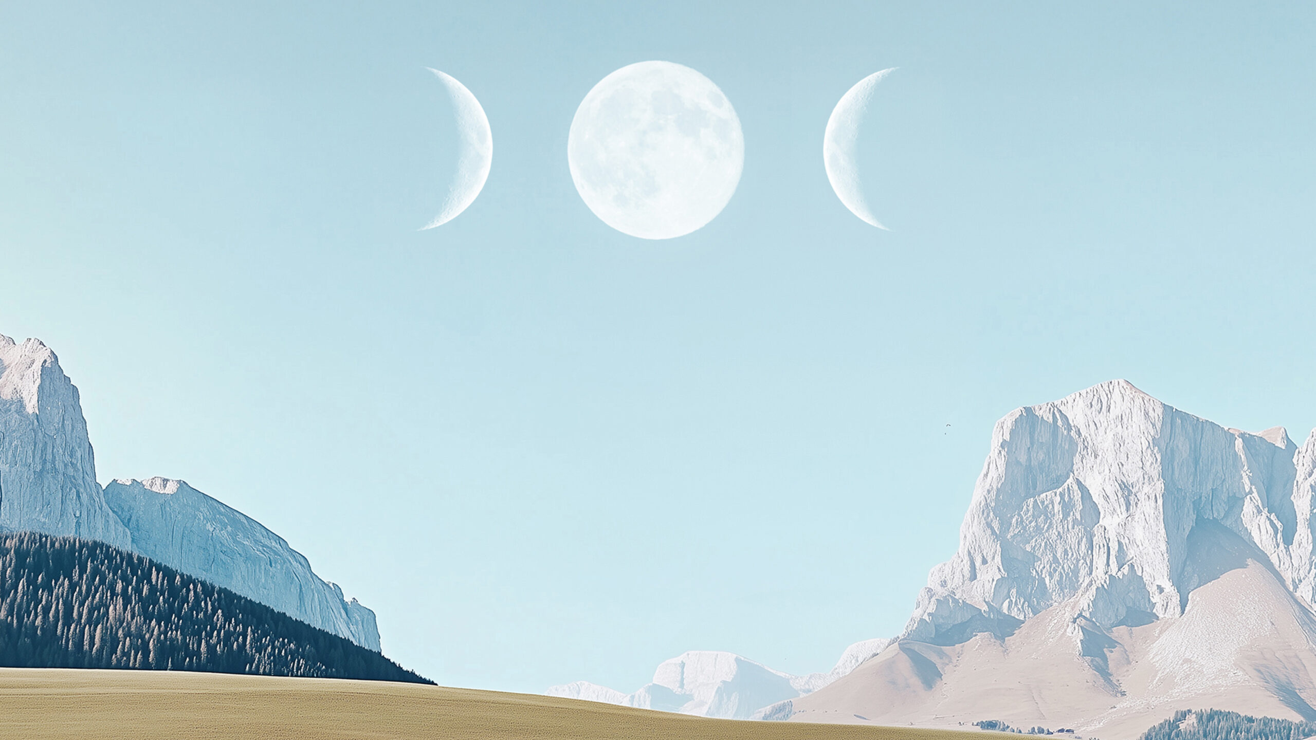 Three Moon Investments